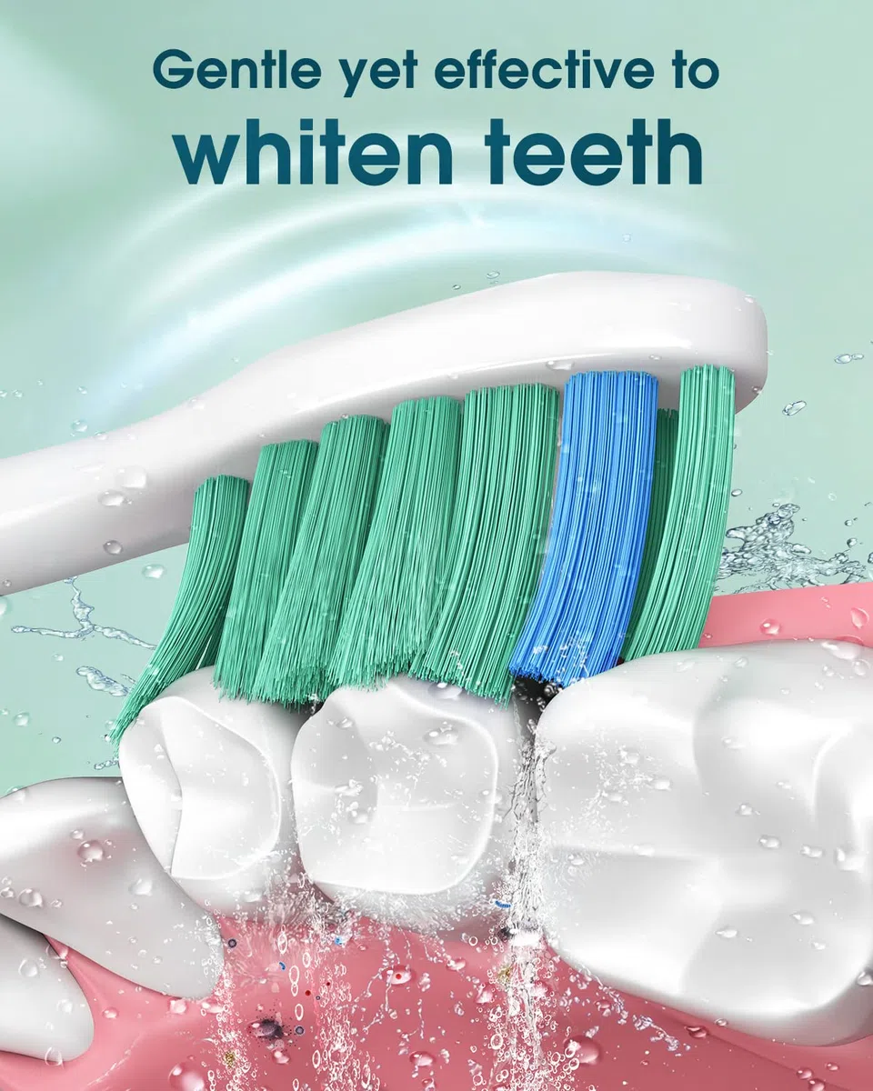 Spazzolino Elettrico Sonico per Sbiancamento dei Denti - Spazzolini Elettrici Sonico per Adulti con 6 Testine, 5 Modalità, Ricarica Rapida e Utilizzo per 180 Giorni, Spazzolino Ultrasuoni, Bianco